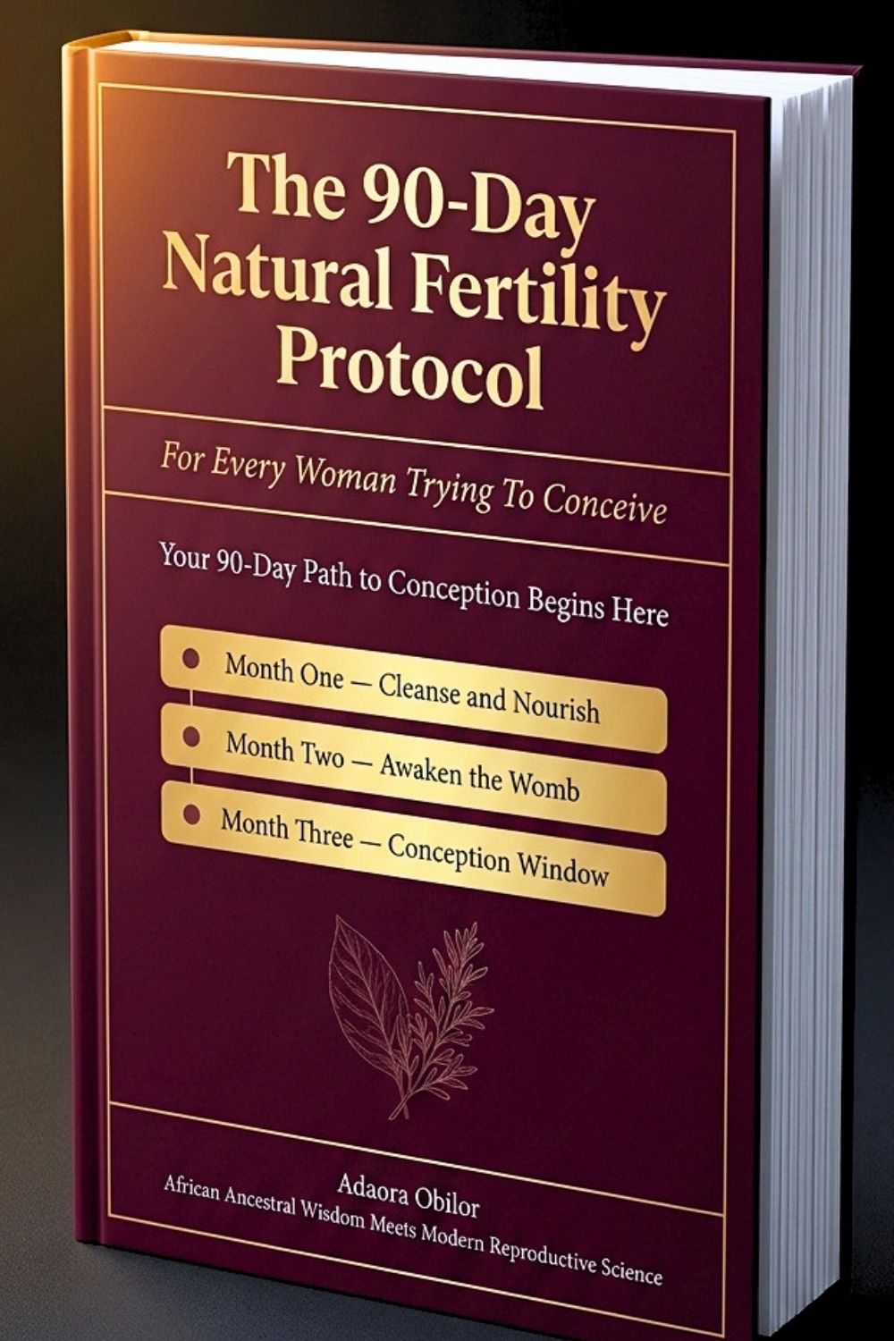 The 90-Day Natural Fertility Protocol